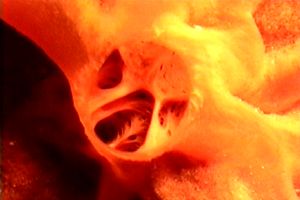 Spugna rossa (Spirastrella cunctatrix)