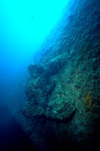 Mercantile Gunny ( )