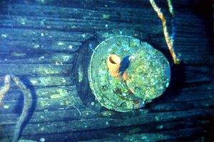 Relitto del Salem Express ( )