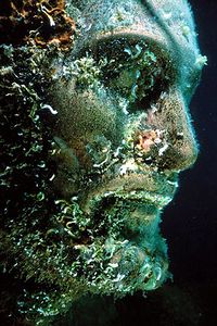 Policheti sedentari (Non identificabile non identificabile)