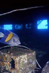 Relitto del Salem Express ( )