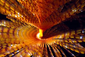 Spirografo (Sabella spallanzanii)