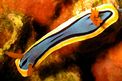 Chromodoris (Chromodoris lochi)