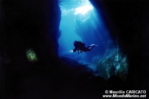 Ambiente Mediterraneo ( )