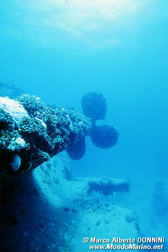 Relitto del Salem Express ( )