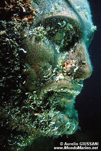 Policheti sedentari (Non identificabile non identificabile)