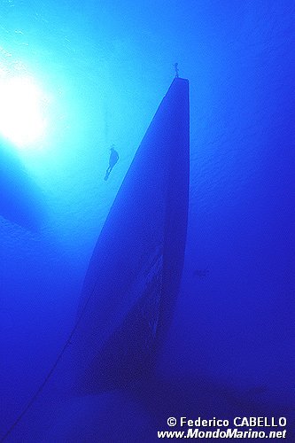 Relitto Capt. Keith Tibbetts ( )