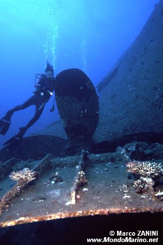 Relitto chrisoula k ( )