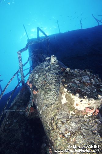 Relitto chrisoula k ( )