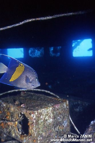 Relitto del Salem Express ( )