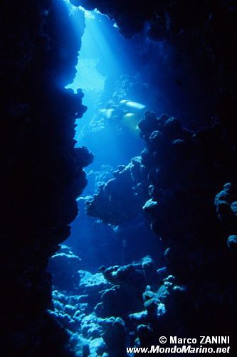 Grotta ( )