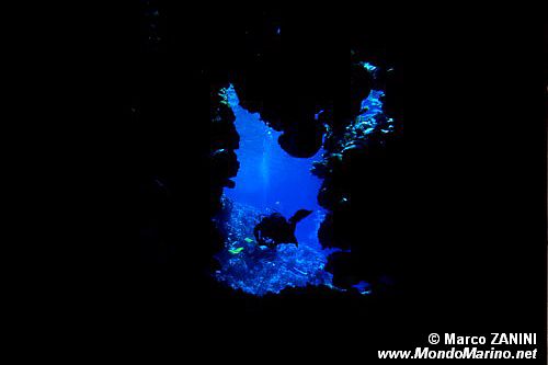 Grotta ( )