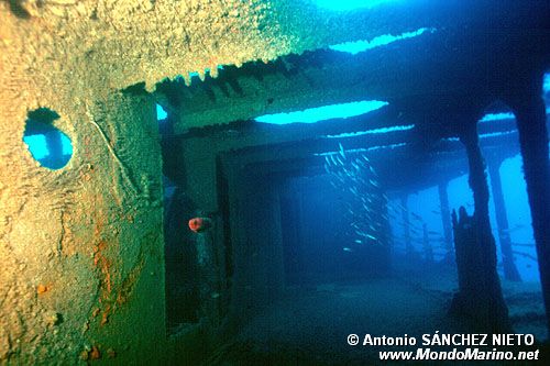 Relitto El Kalais ( )