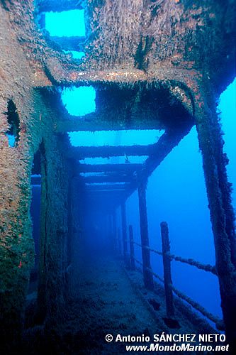 Relitto El Kalais ( )