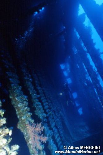 Relitto carnatic ( )