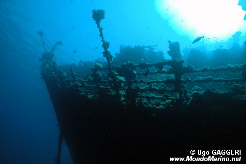 Relitto dell'Umbria ( )